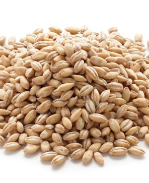 Goodearth Pearl Barley 200g