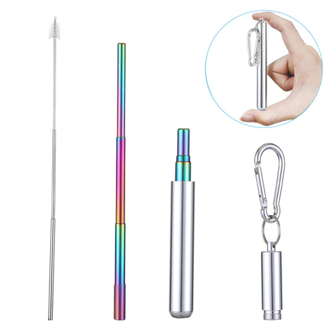 Collapsible Stainless Steel Rainbow Straw - Silver Case